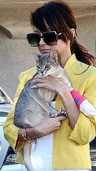 Nichole’s New Family Member, A Cat !