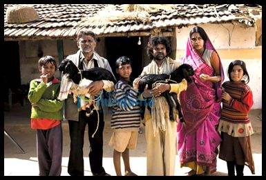 ‘Peepli [Live]’ wins Best feature film Award at Durban International Film Festival
