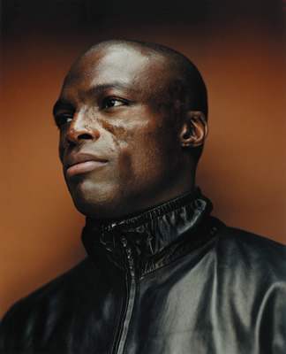 Seal on the Secrets Sail