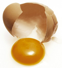 Egg for Hair