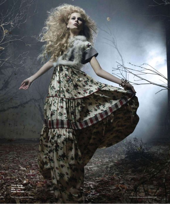 Hana Soukupova for Harpers Bazaar Mexico December 2010 9