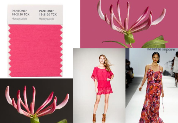 Pantone declares ‘Honeysuckle’ as the color of the year for 2011