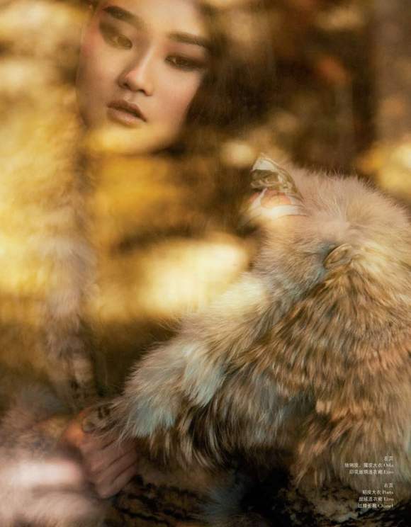 Qiao Qi for ROUGE Winter 2010 2