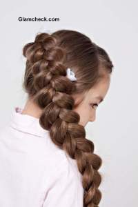 Dutch Braid Variations Diagonal Dutch Braid