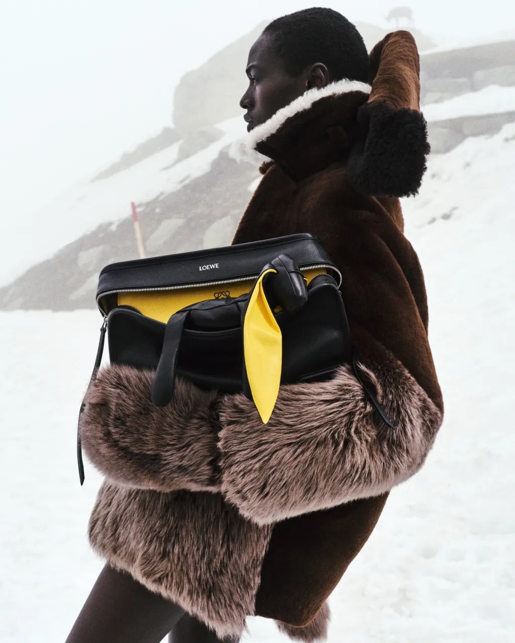 loewe-fall-2026-campaign-bags